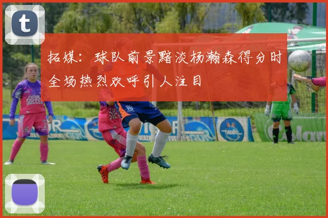 拓媒：球队前景黯淡杨瀚森得分时全场热烈欢呼引人注目